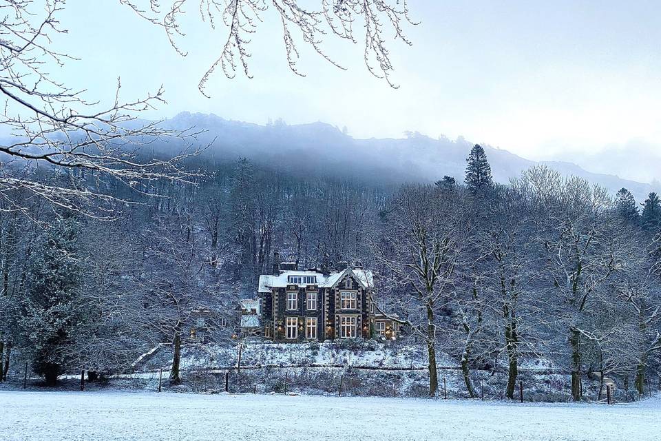 Forest Side in Winter