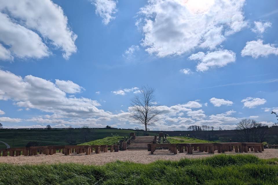One tree hill