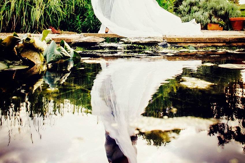 Veil bride