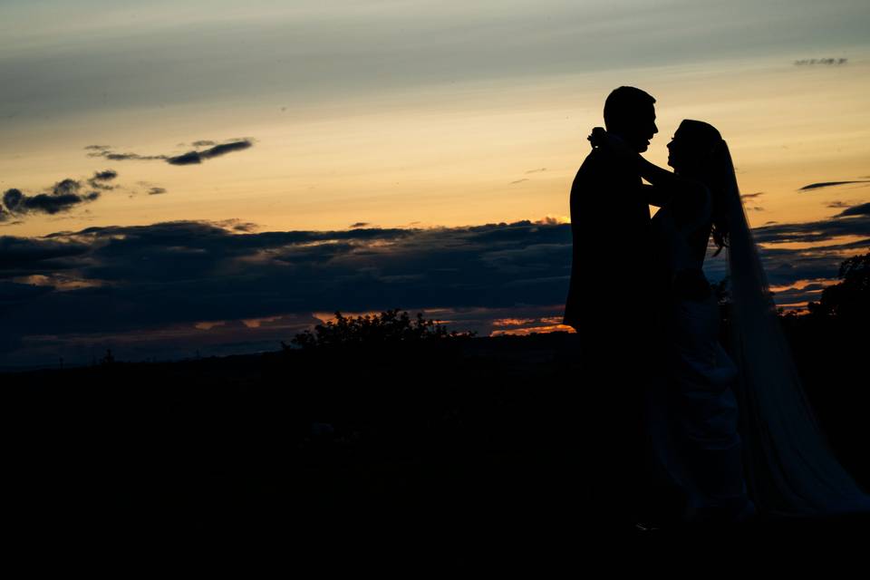 Evening silhouettes