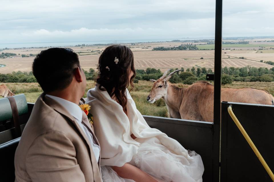 Port Lympne Wedding Safari