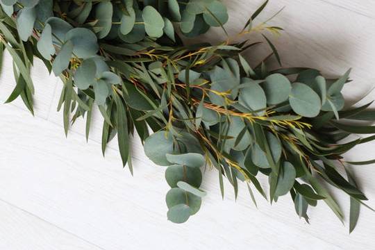 Eucalyptus Table garland