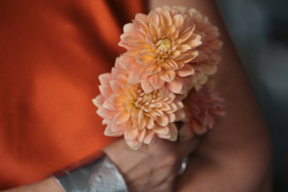 South London blooms