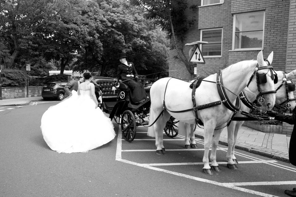 The bride and groom - Paul Tree Weddings