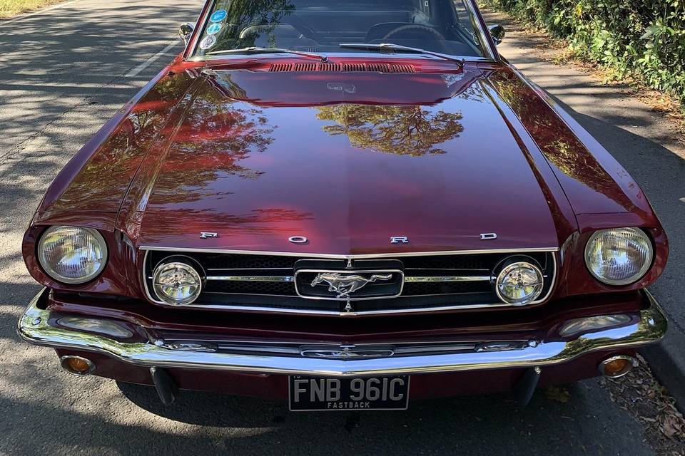 New Classic Mustang Ruby