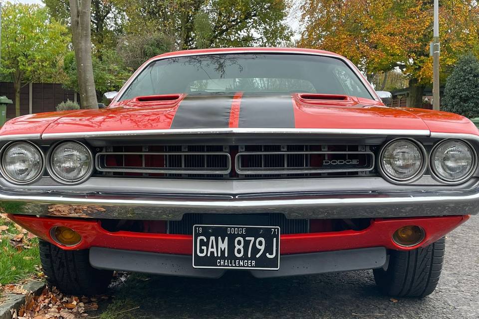Dodge Challenger for Hire