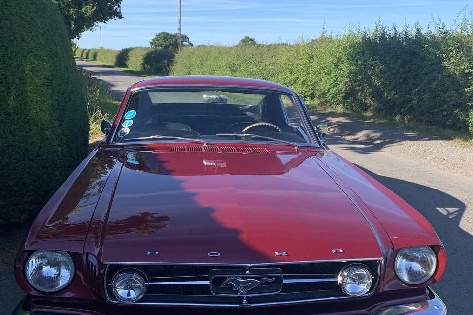 New Classic Mustang Ruby