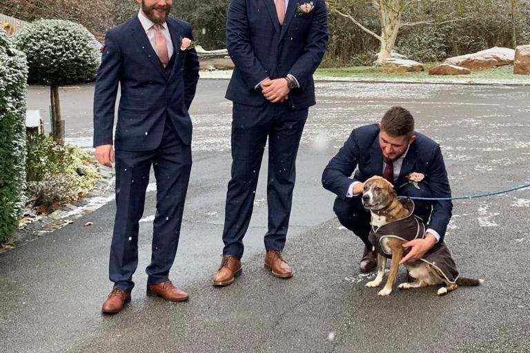 Dog Wedding Chaperone Service