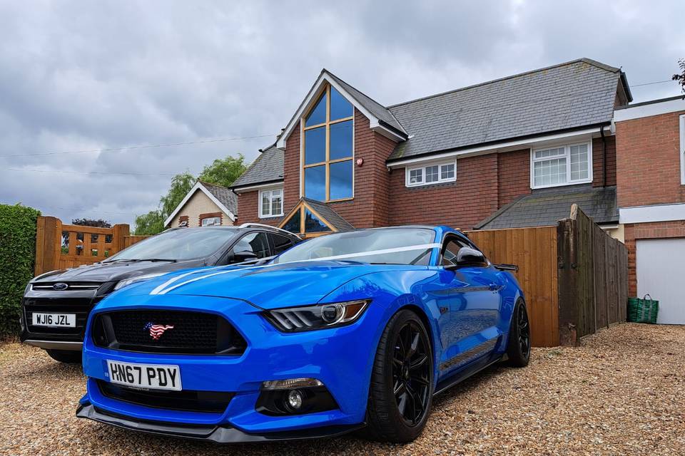 Mustang GT in Striking Blue