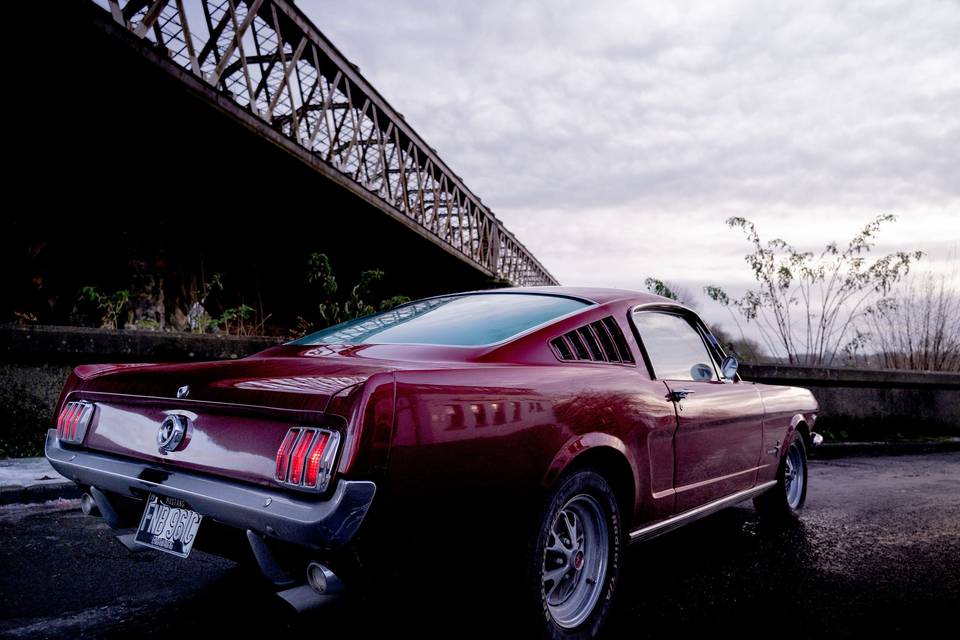 Mustang Fastback For Hire