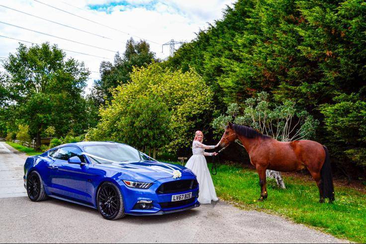 The Horse and the Mustang !!