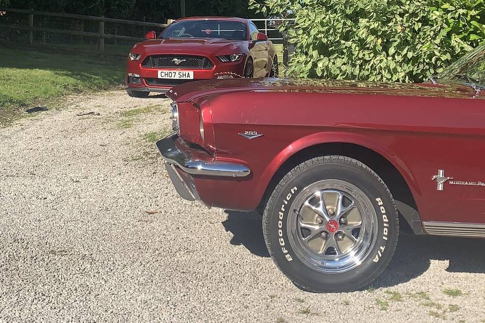 Mustang Ruby Vintage Luxury