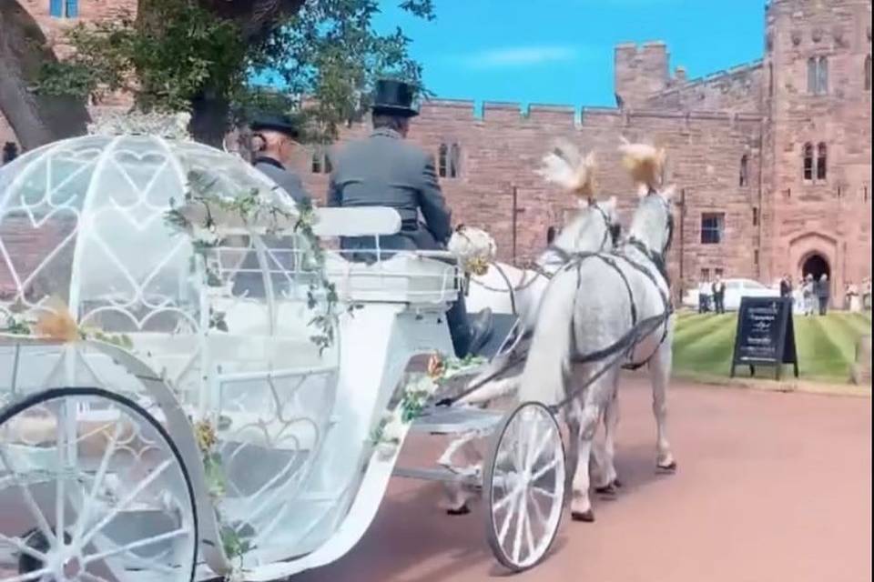 and Carriages for Hire