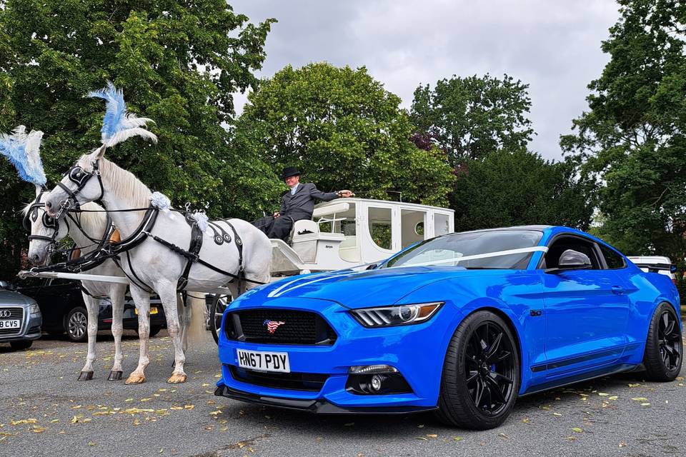 Mustang GT in Striking Blue