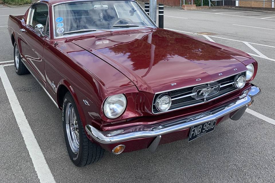 Classic Mustang 1965 for Hire
