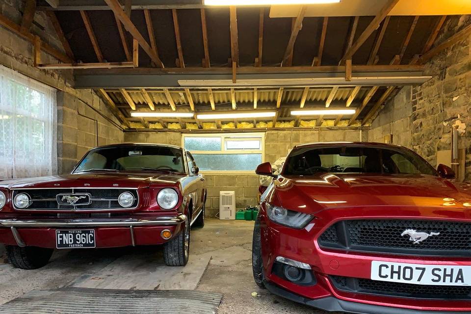 Why compromise Both Mustangs