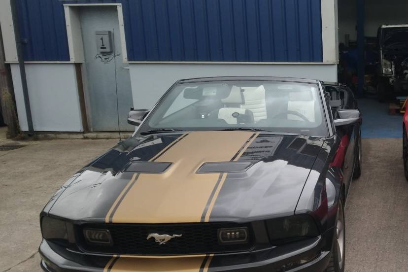 Convertible Mustang for Hire