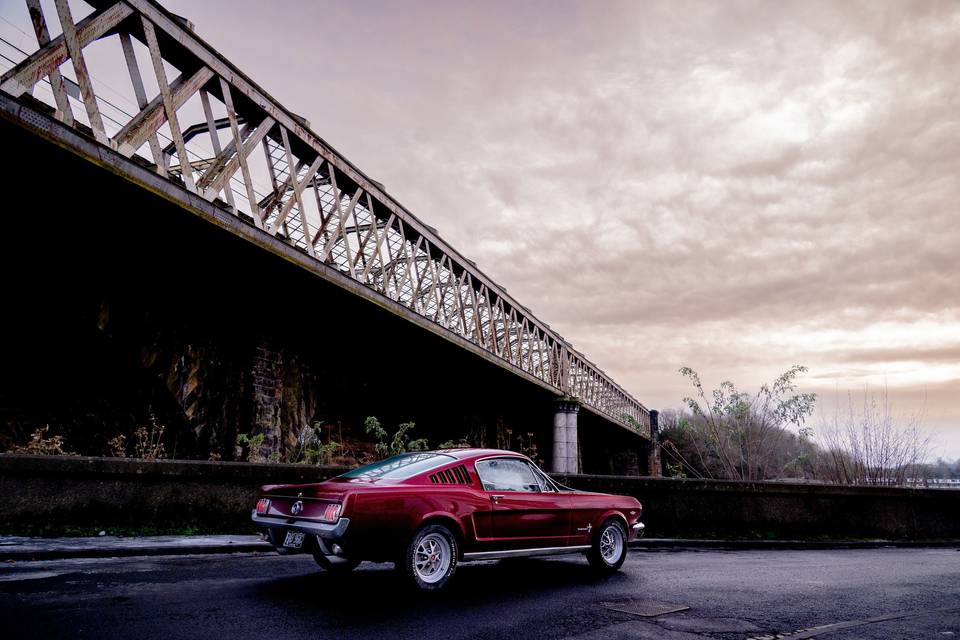 Mustang Ruby for Hire