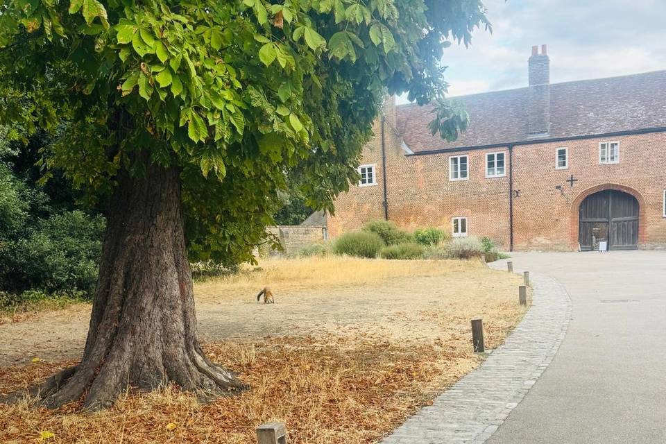 Beautiful Fulham Palace Event!
