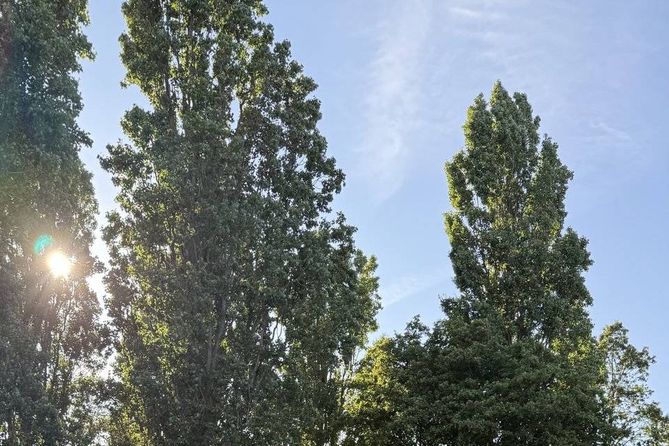 Horse box photo booth