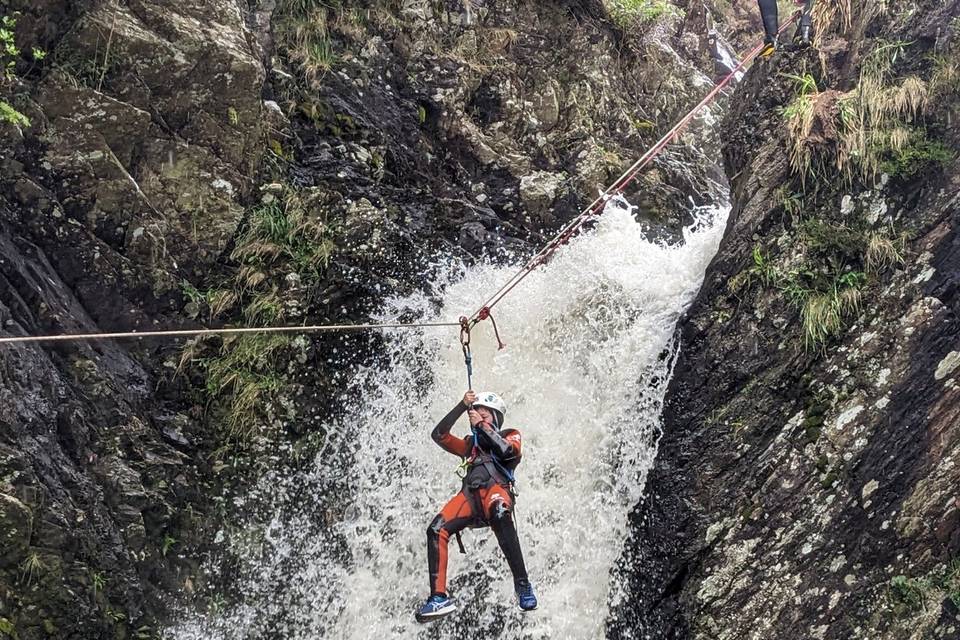 Zipline wedding party