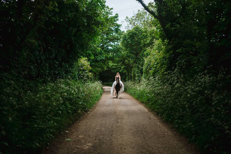 Horse Wedding Entrance