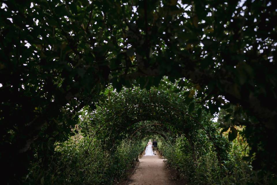 Walking Through The Gardens