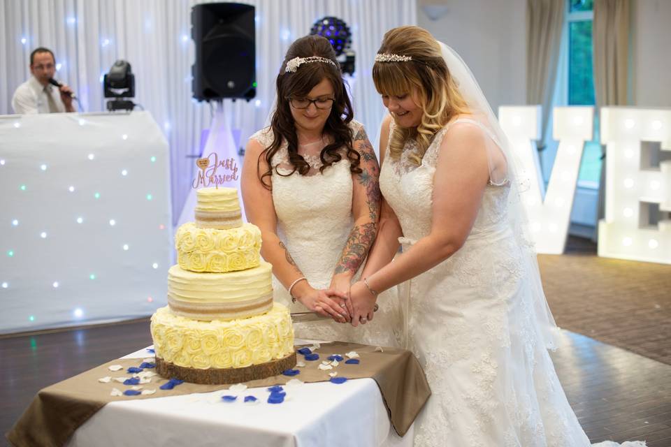 Cake Cutting