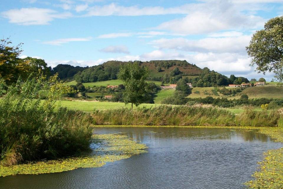 Ox Pasture Hall - Luxury Country House Hotel