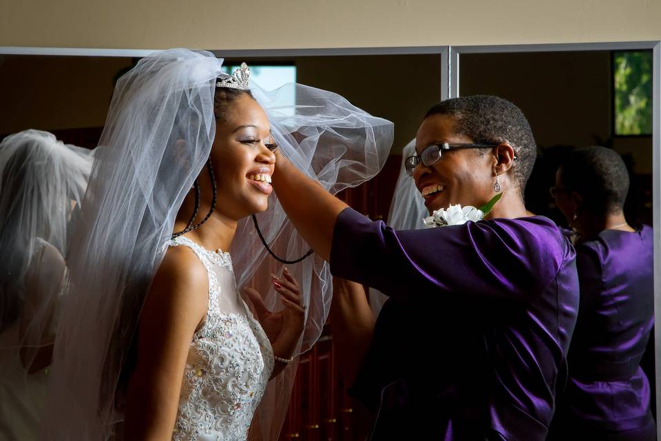 Bride veil