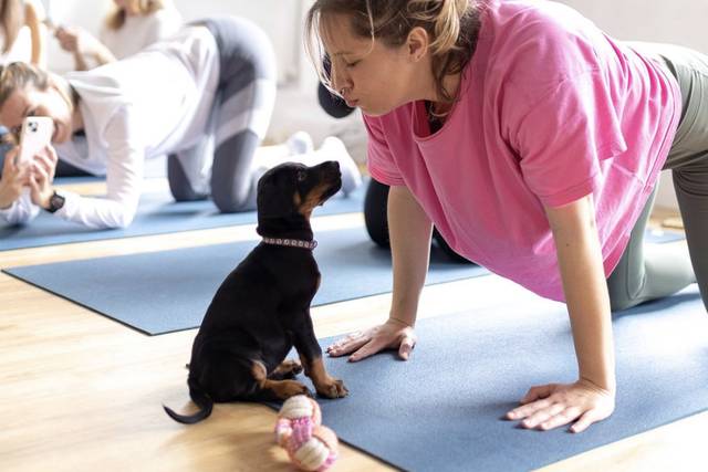 Take A Paws Puppy Yoga