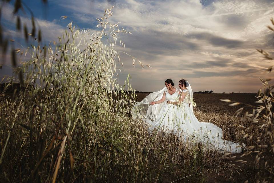 Sun set photo in fields