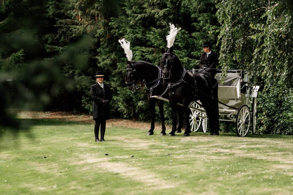 Horse & carriage in grounds