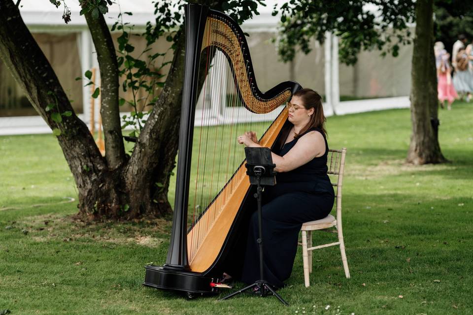 Wedding harpist playing outsid