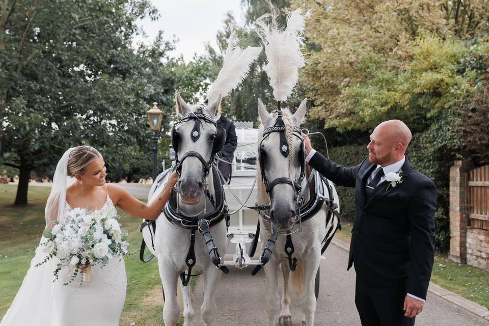 Horse & carriage at venue