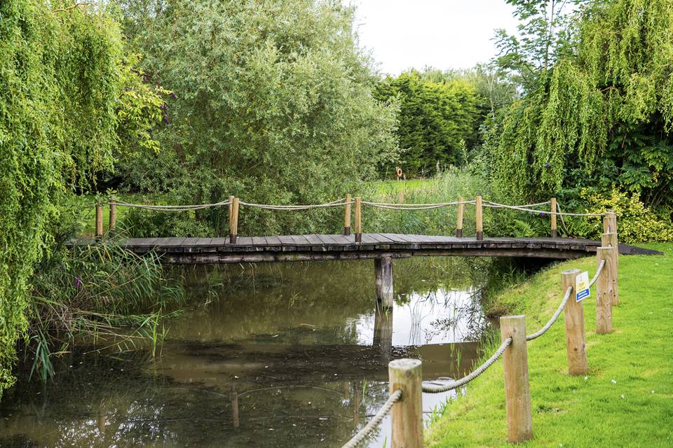 Lake with Bridge