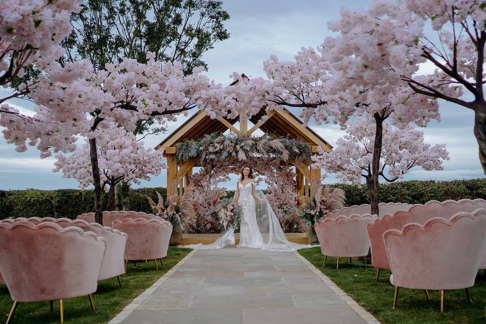 Blossom Trees