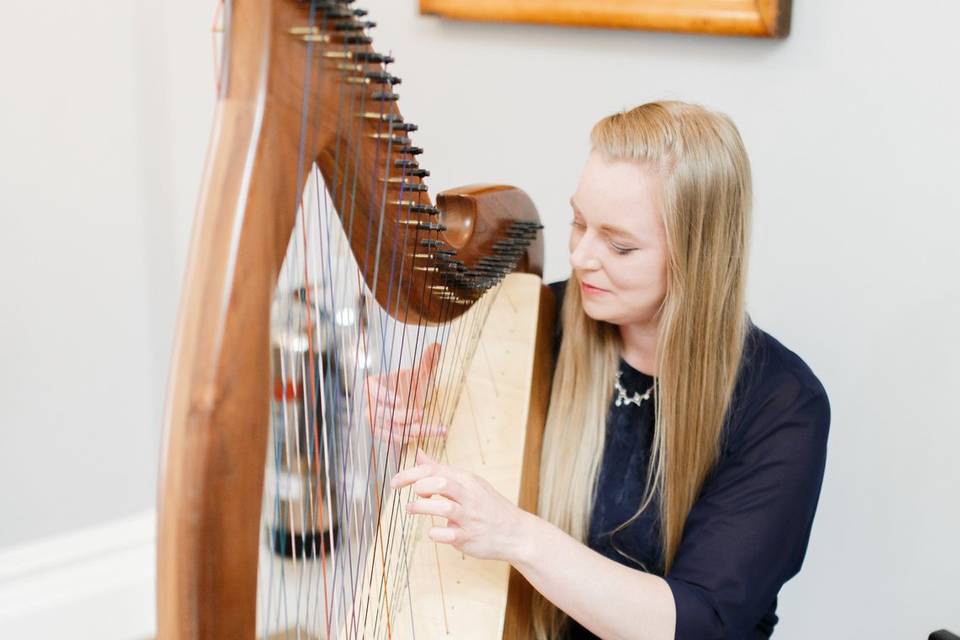 Christine Palethorpe (Nottingham Harpist)