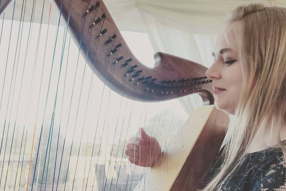 Outdoor harp performance