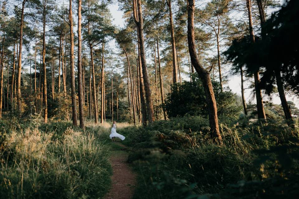 Running through the pines