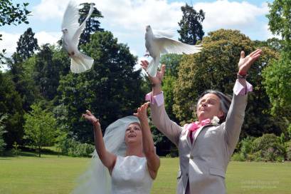 Dove release