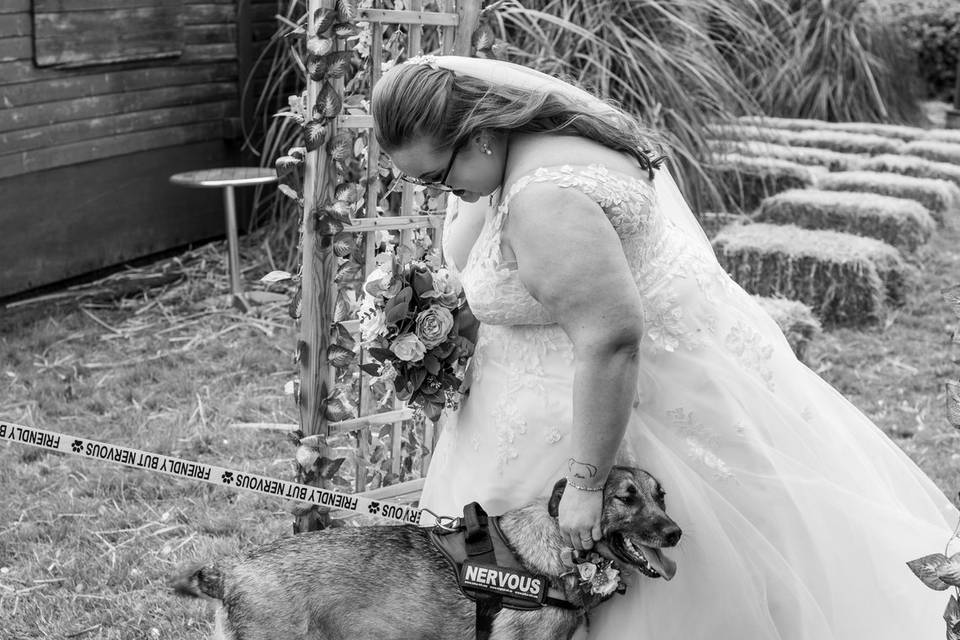 Bride and a dog