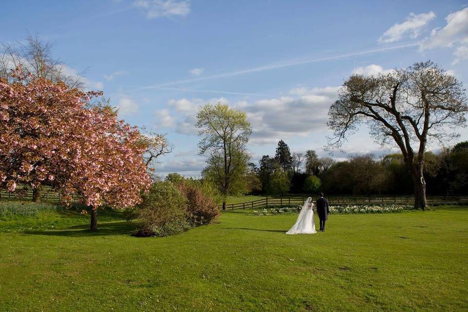 Marquee wedding