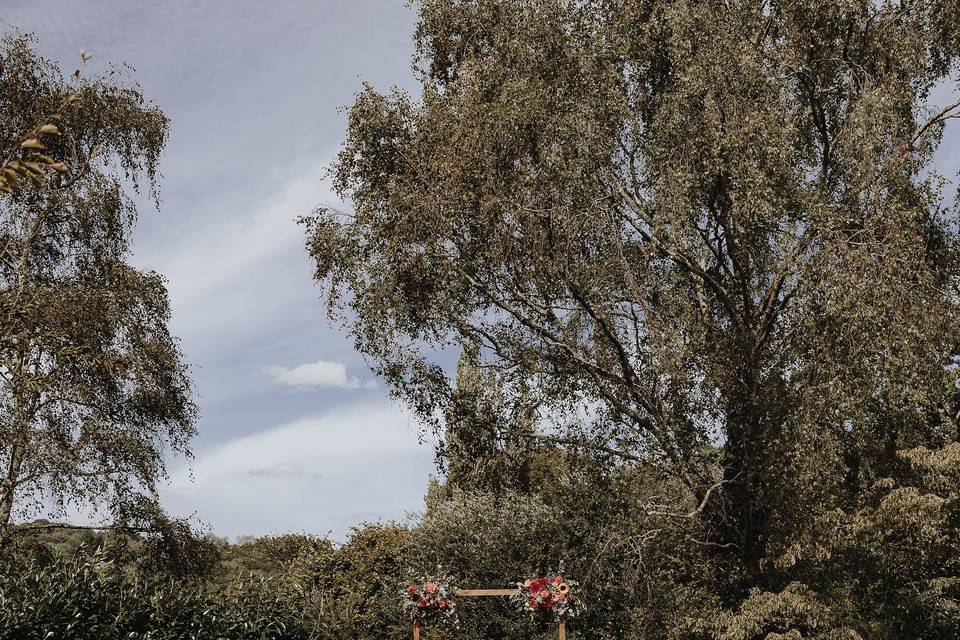 Credit @ivyhousephotography