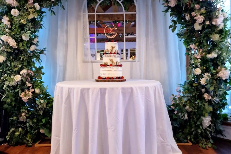 Semi naked cake with fruit