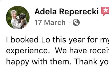 Wedding Review