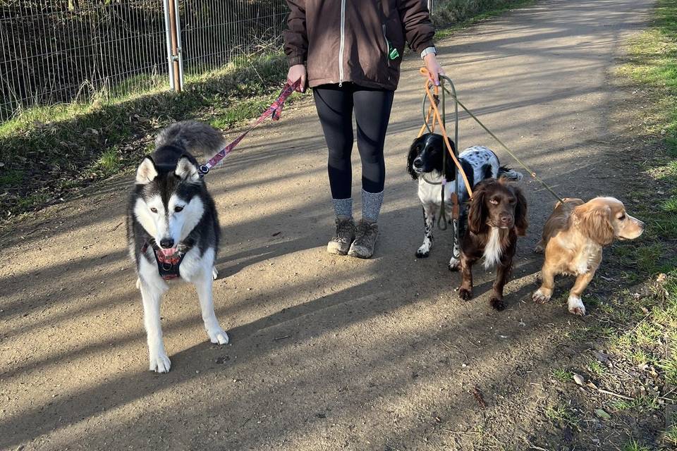 Walkies