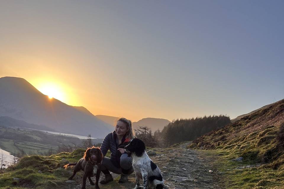 Adventures