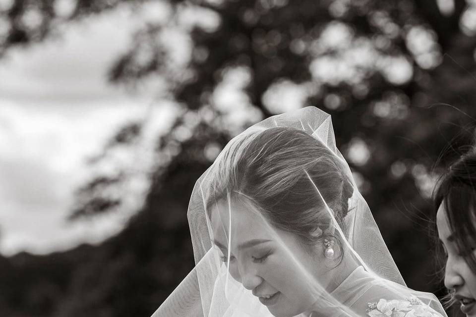 Brush With Blush Wedding Haird