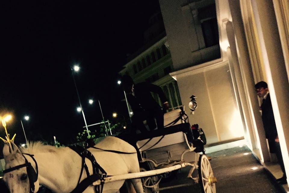 Wedding horse carriage